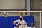 Volleyball vs RWU  Wheaton Women’s Volleyball vs Roger Williams University. : Volleyball, VB
